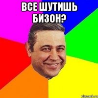 все шутишь бизон? 