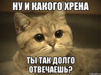 ну и какого хрена ты так долго отвечаешь?