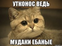 утконос ведь мудаки ебаные