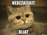 nebezaiskit bliat