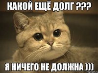 какой ещё долг ??? я ничего не должна )))