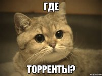 где торренты?