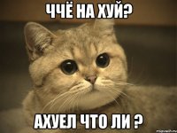 ччё на хуй? ахуел что ли ?