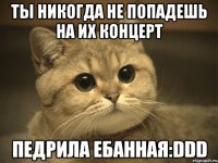 ты никогда не попадешь на их концерт педрила ебанная:ddd