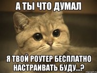 а ты что думал я твой роутер бесплатно настраивать буду...?