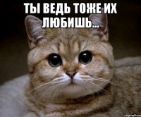 ты ведь тоже их любишь... 