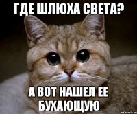 где шлюха света? а вот нашел ее бухающую