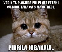 vad k ts plashe s pui pi net fotshi cu mine, fara ca s ma intrebi.. pidrila iobanaia..