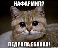 нафармил? педрила ебаная!