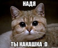 надя ты какашка :d