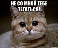 не со мной тебе тегаться! 