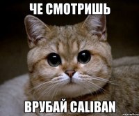 че смотришь врубай caliban