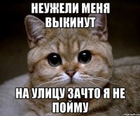 неужели меня выкинут на улицу зачто я не пойму