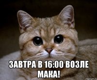  завтра в 16:00 возле мака!