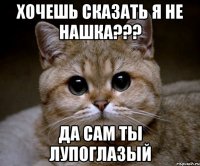 хочешь сказать я не нашка??? да сам ты лупоглазый