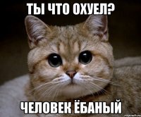 ты что охуел? человек ёбаный