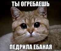 ты огребаешь педрила ебаная