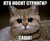 кто носит стринги? саша!