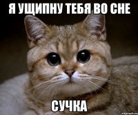 я ущипну тебя во сне сучка