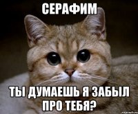 серафим ты думаешь я забыл про тебя?