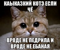 каыказкий котэ если чё вроде не педрила и вроде не ебаная