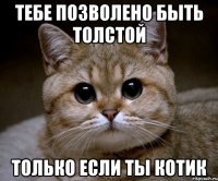 тебе позволено быть толстой только если ты котик