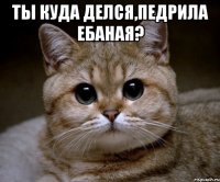 ты куда делся,педрила ебаная? 