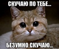 скучаю по тебе... безумно скучаю...