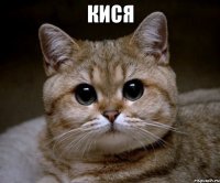 кися 