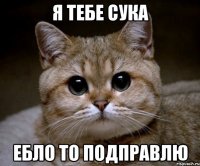 я тебе сука ебло то подправлю