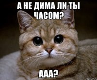 а не дима ли ты часом? ааа?