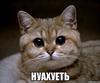  нуахуеть