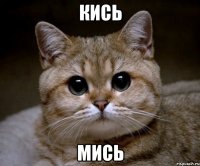 кись мись