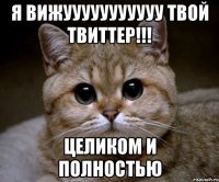 я вижууууууууууу твой твиттер!!! целиком и полностью