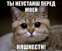 ты неустаиш перед моей няшнести!