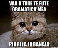 vad k tare te fute gramatica mea pidrila iobanaia