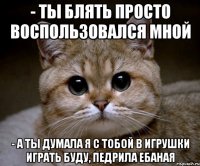 - ты блять просто воспользовался мной - а ты думала я с тобой в игрушки играть буду, педрила ебаная