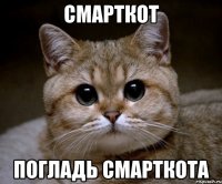 смарткот погладь смарткота