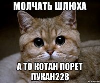 молчать шлюха а то котан порет пукан228