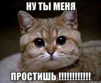 ну ты меня простишь !!!