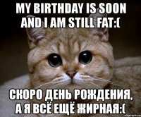 my birthday is soon and i am still fat:( скоро день рождения, а я всё ещё жирная:(