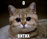 о витих