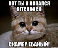 вот ты и попался bitcoinick скамер ебаный!