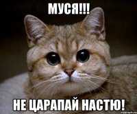 муся!!! не царапай настю!