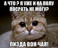 а что ? я уже и на полу посрать не могу? пизда вон чая!