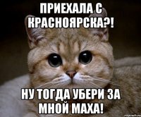 приехала с красноярска?! ну тогда убери за мной маха!