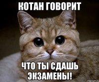 котан говорит что ты сдашь экзамены!