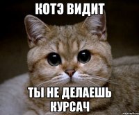 котэ видит ты не делаешь курсач