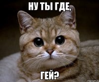 ну ты где, гей?