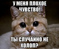 у меня плохое чувство! ты случайно не холоп?